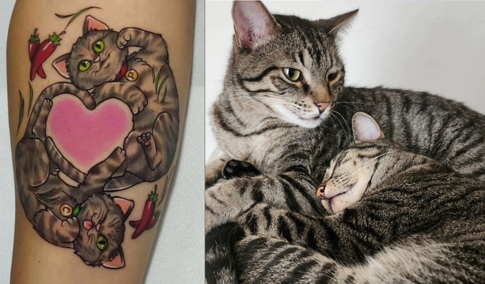 My cats Chilli and Pepper